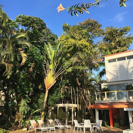 Volt Angra Hotel Angra dos Reis Eksteriør billede